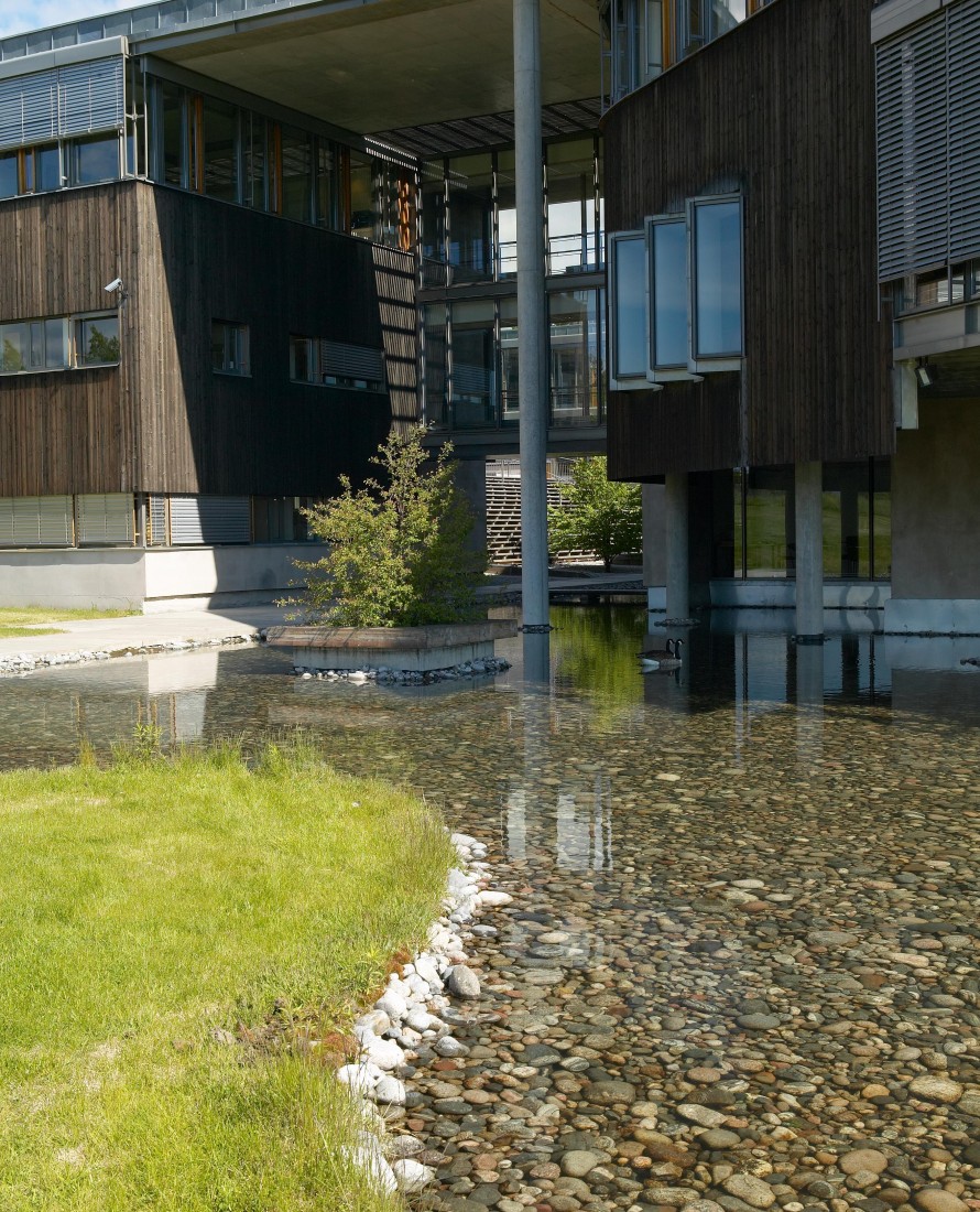 Norske skog 19