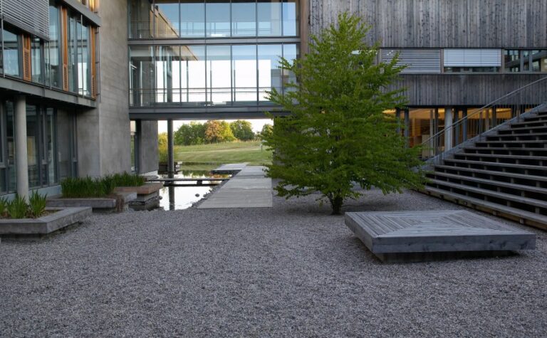 Norske skog 2
