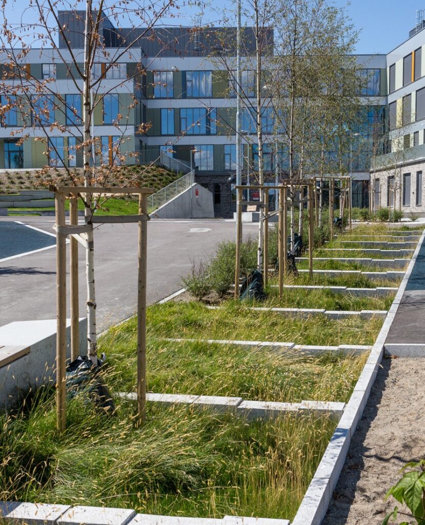 Vollebekkveien Skole - LARK